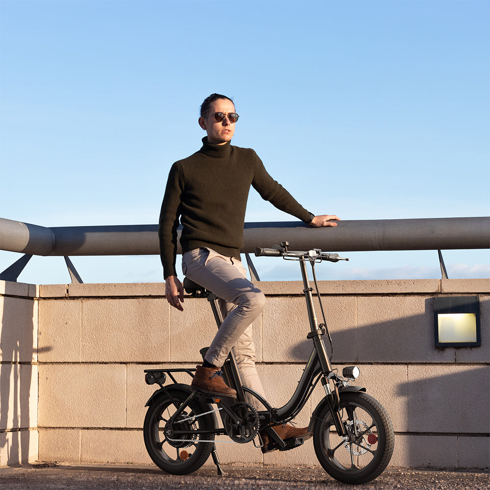 Portable Folding Electric Bike with Removable Battery, Low Step Frame