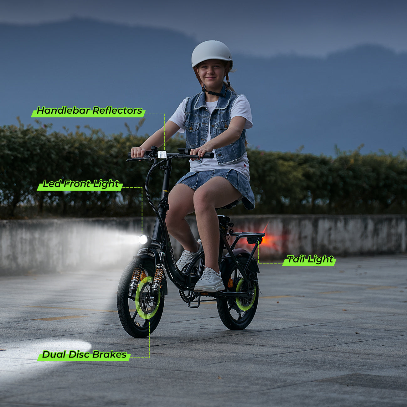Portable Folding Electric Bike with Removable Battery, Low Step Frame