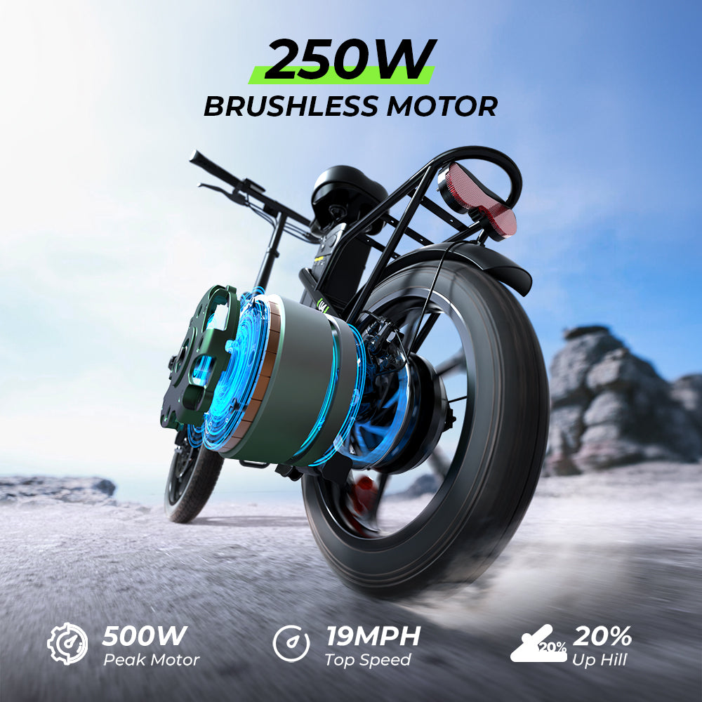 Portable Folding Electric Bike with Removable Battery, Low Step Frame