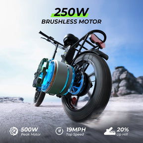 Portable Folding Electric Bike with Removable Battery, Low Step Frame