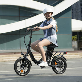 Portable Folding Electric Bike with Removable Battery, Low Step Frame