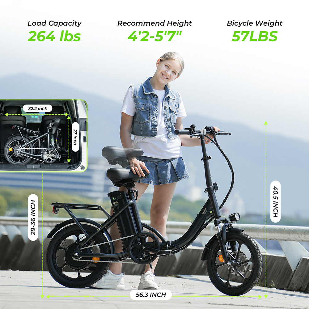 Portable Folding Electric Bike with Removable Battery, Low Step Frame