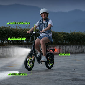 Portable Folding Electric Bike with Removable Battery, Low Step Frame