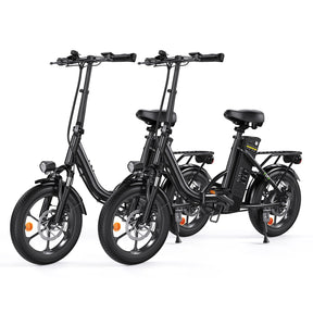 Portable Folding Electric Bike with Removable Battery, Low Step Frame
