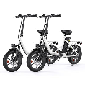 Portable Folding Electric Bike with Removable Battery, Low Step Frame